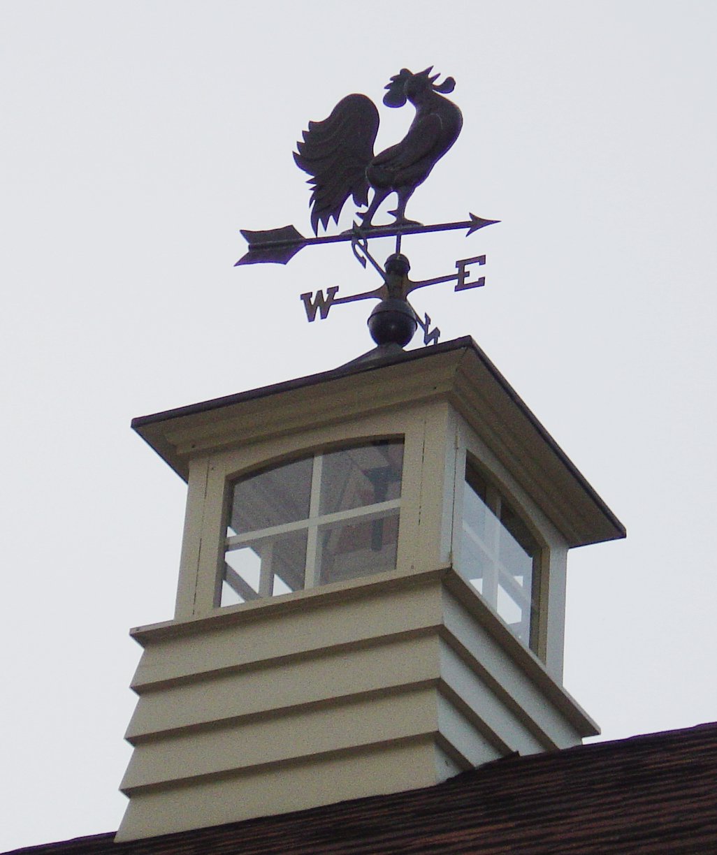 Kids woodworking books, Weathervane Plans, Ski Tuning 